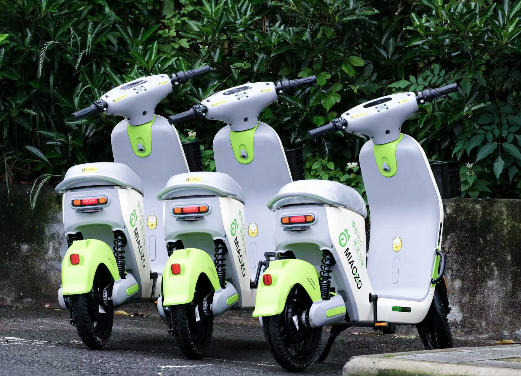 景區共享電動車投放